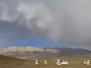 publive-image