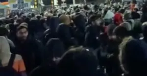 publive-image