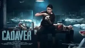 publive-image