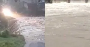 publive-image