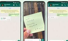 publive-image