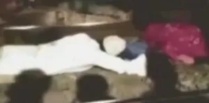 publive-image