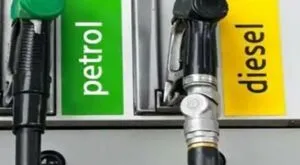 publive-image