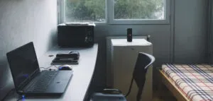 publive-image