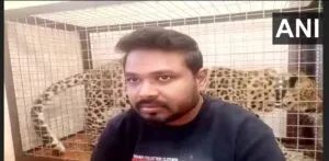 publive-image