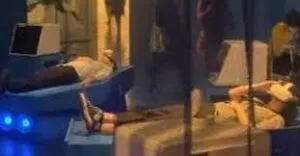 publive-image