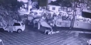 publive-image