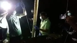publive-image