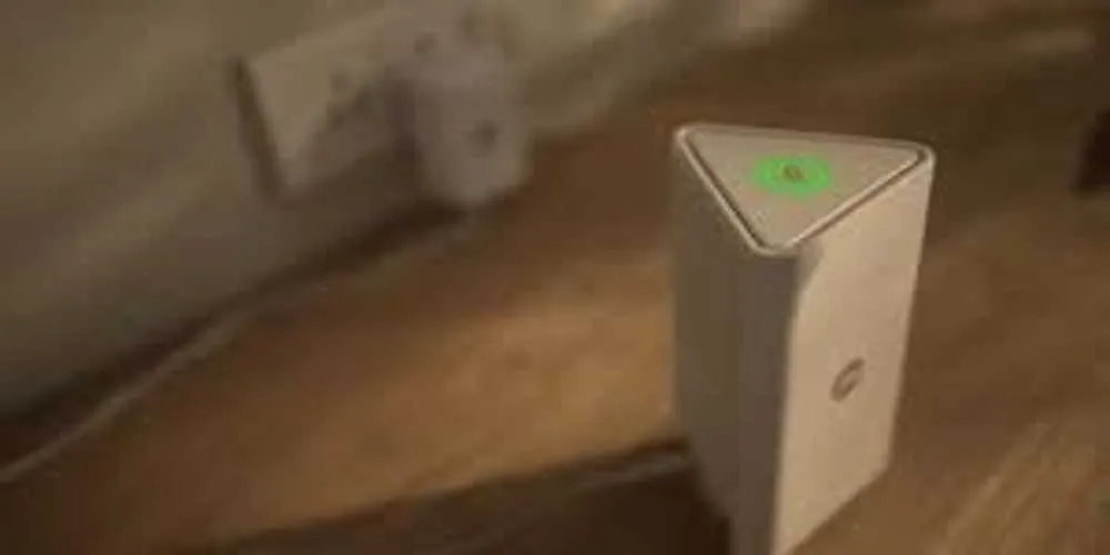 publive-image
