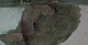 publive-image