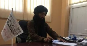 publive-image