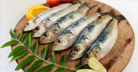 sardine