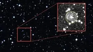 publive-image
