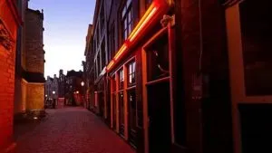 publive-image