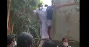 publive-image