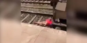 publive-image