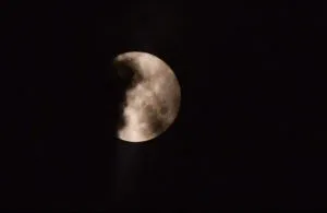 publive-image