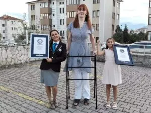 publive-image