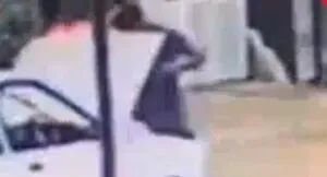 publive-image