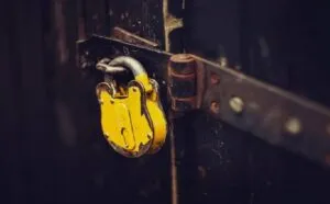 publive-image