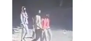publive-image