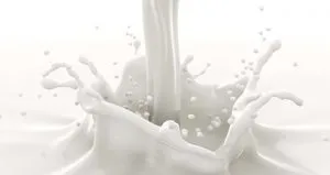 publive-image