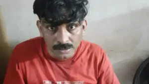 publive-image