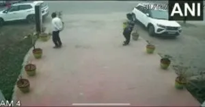 publive-image