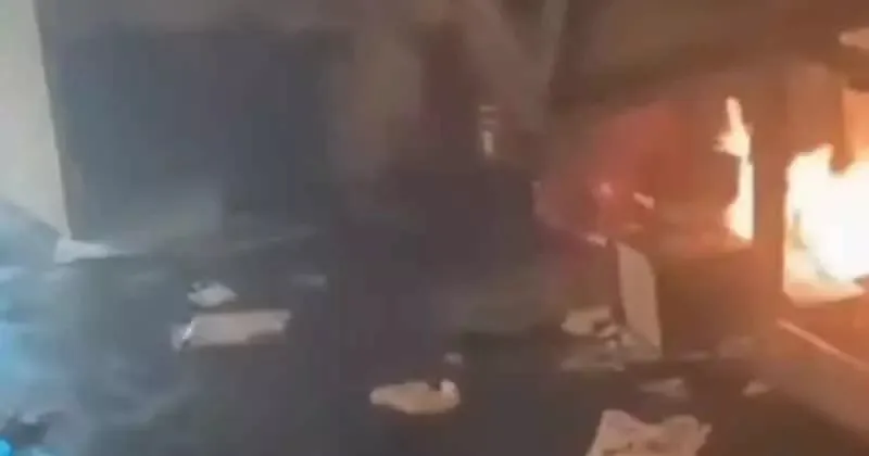 publive-image