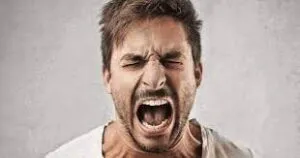 publive-image