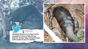 publive-image