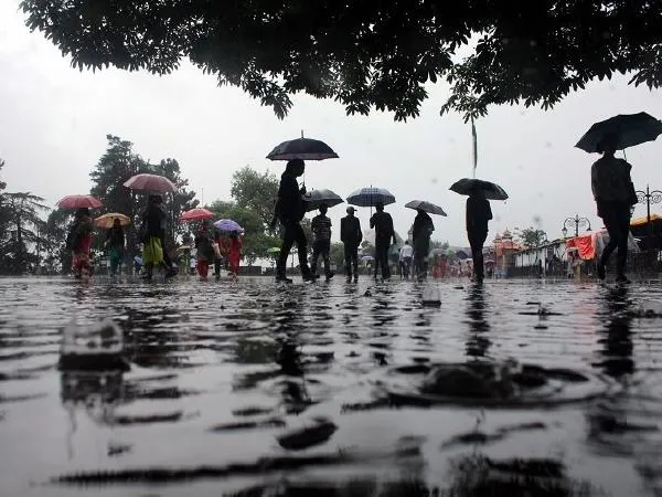 Image result for tamil nadu jaja rain