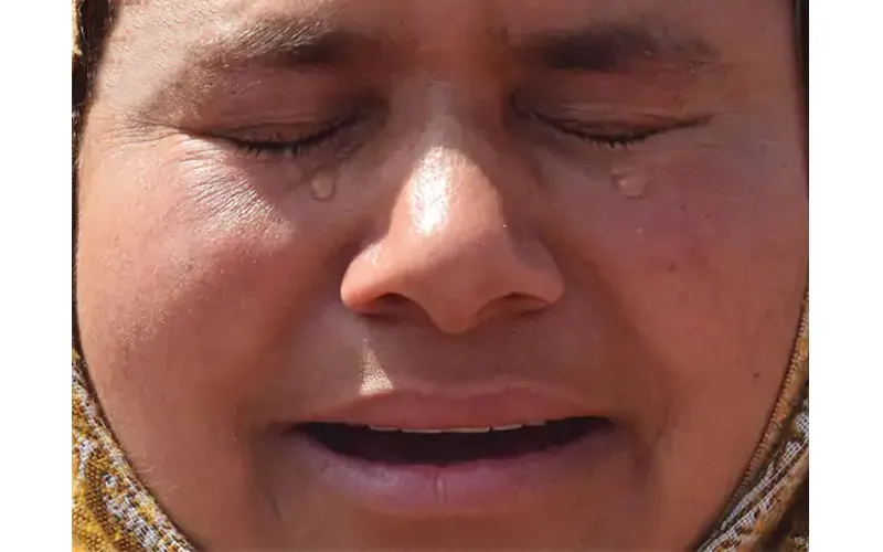 publive-image