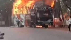 publive-image