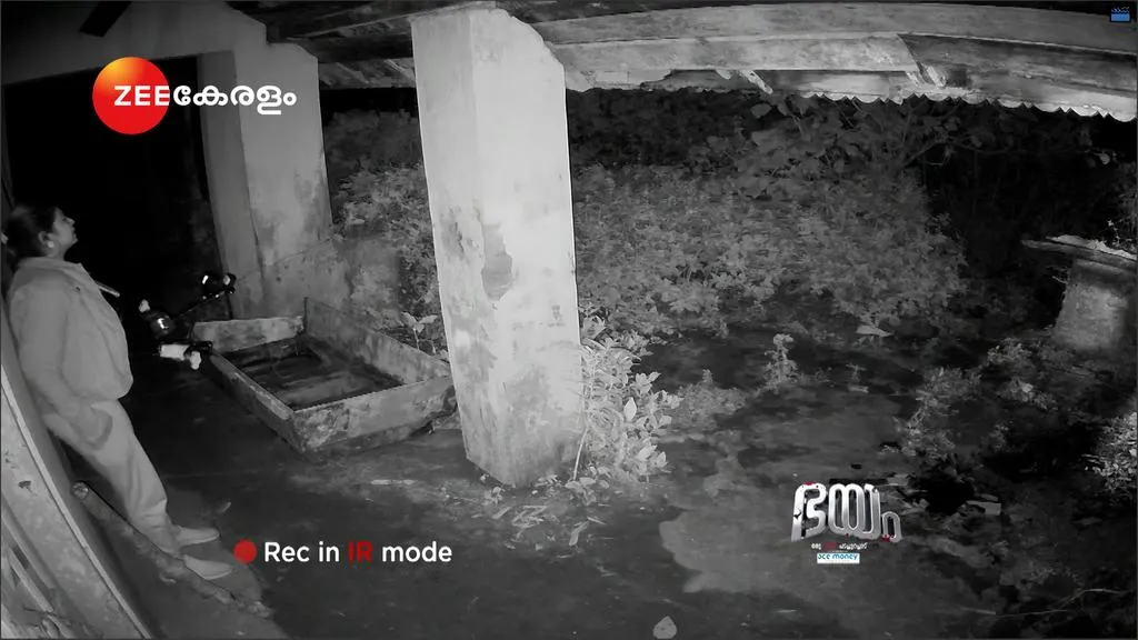 publive-image
