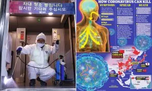 publive-image