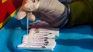 publive-image