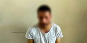 publive-image