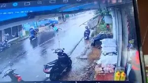publive-image