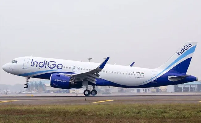 Image result for indigo airline air hostess