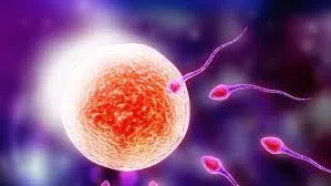publive-image