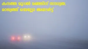 publive-image