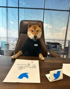 publive-image