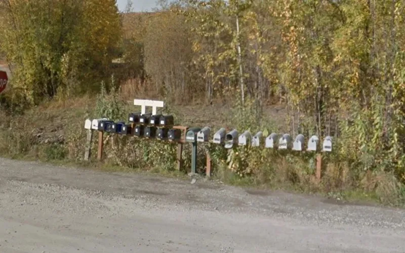 publive-image