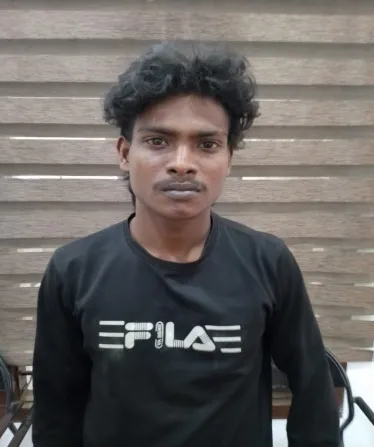 publive-image