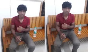 publive-image