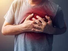 publive-image