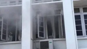 publive-image