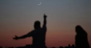 publive-image