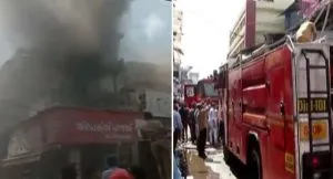 publive-image